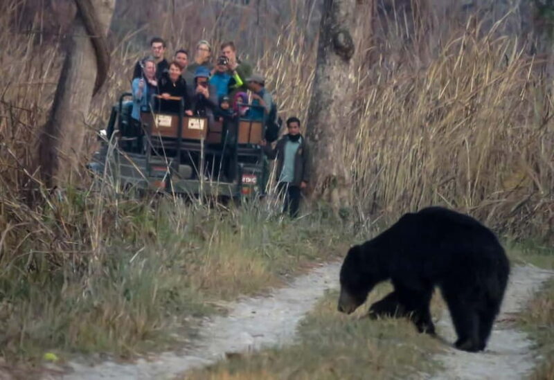 From Kathmandu/Pokhara: 3-Day Chitwan National Park Tour - Exploring the 3-Day Chitwan National Park Tour