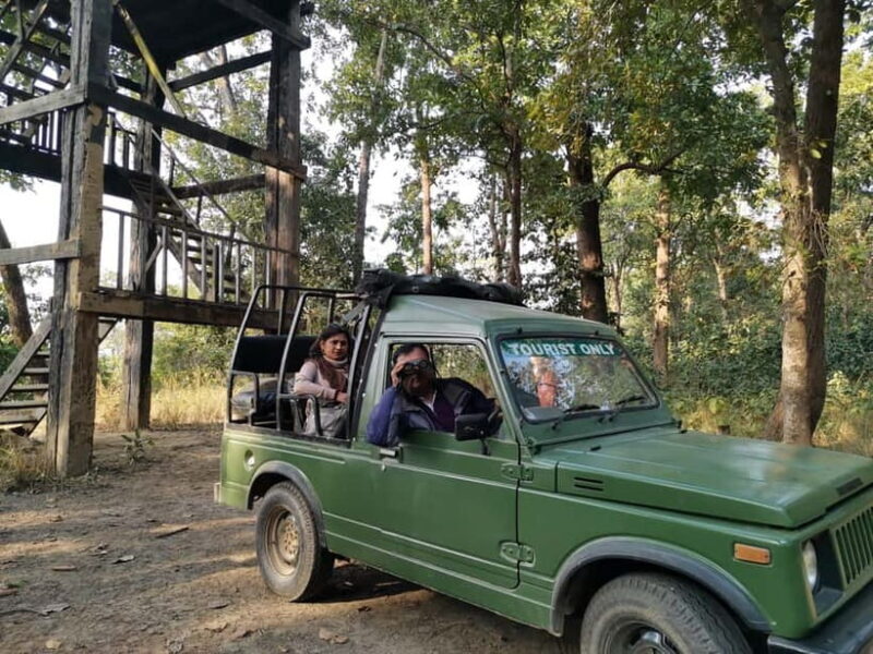 From Kathmandu/Pokhara: Bardiya National Park 4-Day Tour - The Reality of the 4-Day Jungle Safari: A Friendly Breakdown