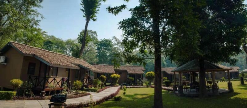 From Kathmandu/Pokhara: Private 3-Day Chitwan Safari Tour - Possible Drawbacks