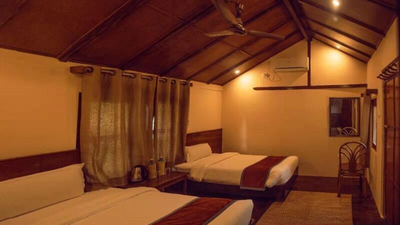 From Kathmandu/Pokhara: Private 3-Day Chitwan Safari Tour - Who this tour suits best