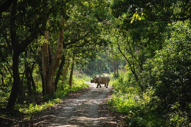 From Kathmandu: Private 3-Day Chitwan Safari Tour - FAQs