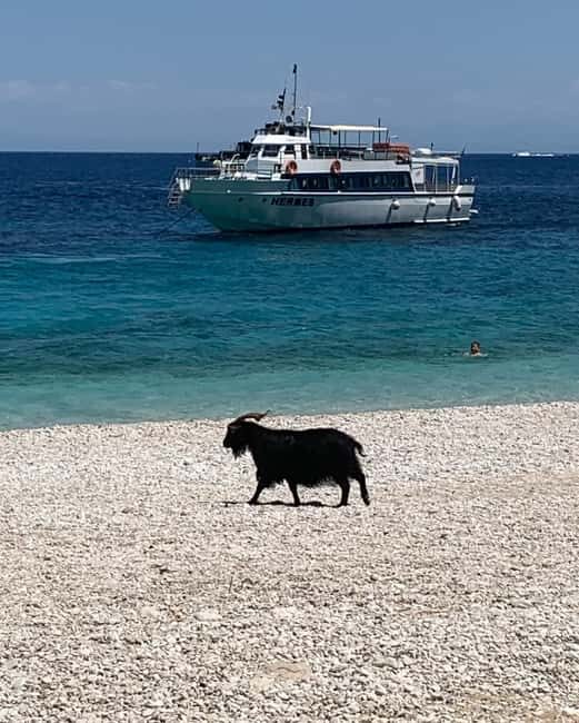 From Kefalonia: Ihaca boat tour with swimming - Final Thoughts