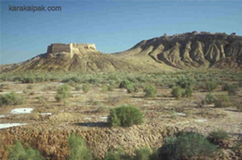 From Khiva: Khorezm Fortresses Adventure Tour - Who Would Enjoy This Tour?