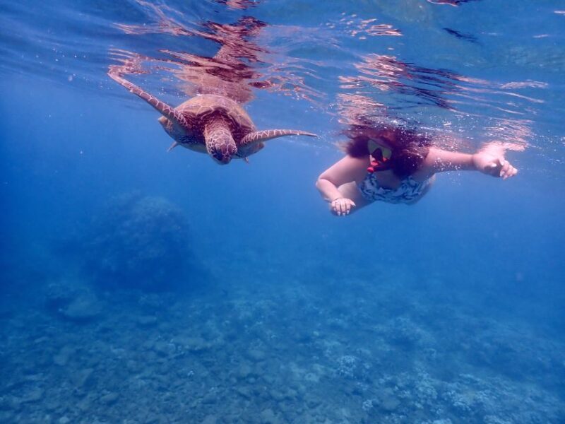 From Kihei: Molokini Crater and Turtle Town Snorkeling - Who Will Love This Tour?
