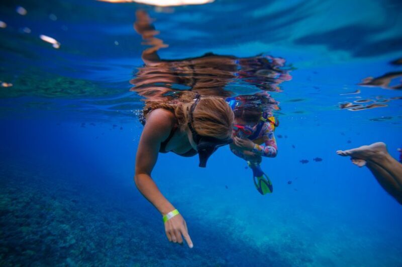 From Kihei: Molokini Crater and Turtle Town Snorkeling - More Information & Alternatives