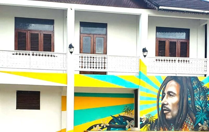 From Kingston: Bob Marley Mausoleum, Nine Mile Town Tour - Who Should Consider This Tour?