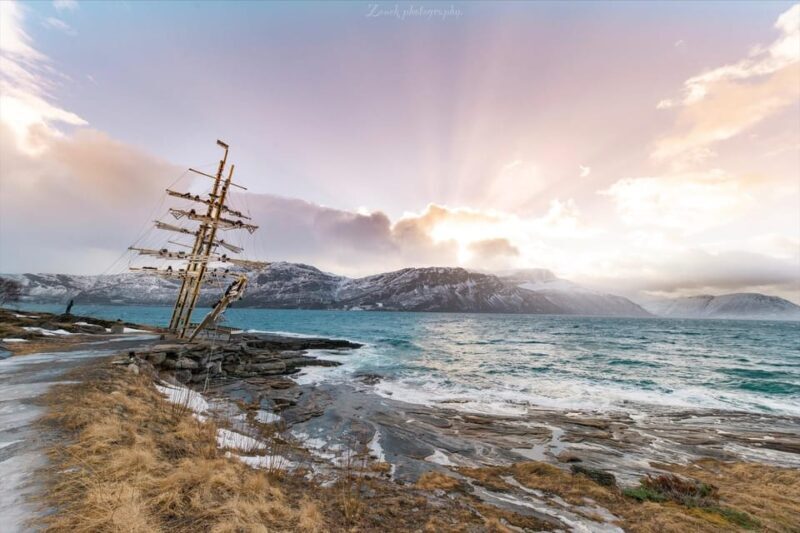 From Kiruna: Narvik City and Fjord Day Trip - What Makes This Tour Stand Out?
