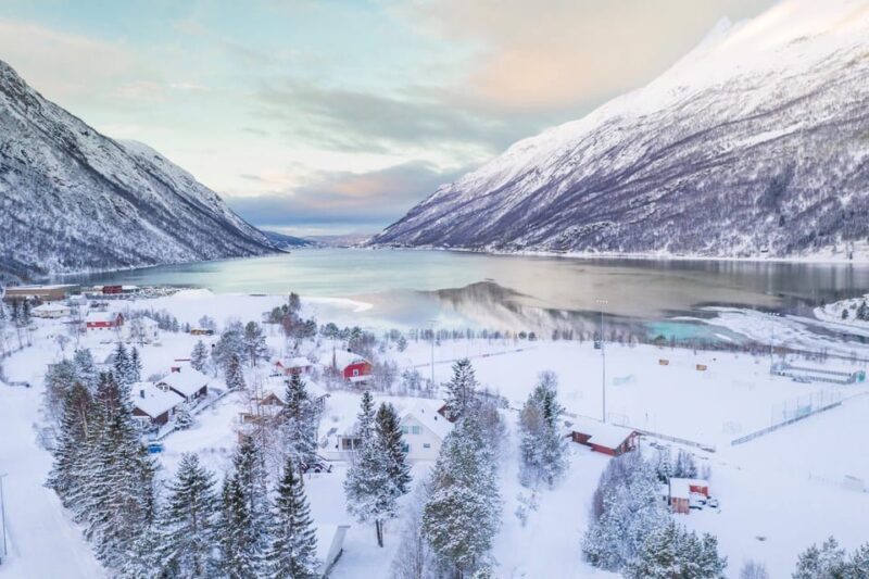 From Kiruna: Narvik City and Fjord Day Trip - Considerations and Potential Drawbacks