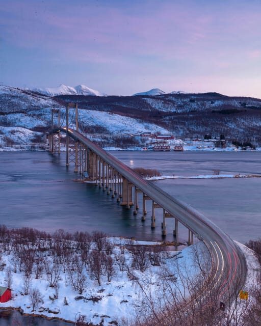 From Kiruna: Narvik City and Fjord Day Trip - Who Is This Trip Best For?