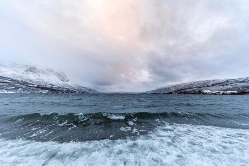 From Kiruna: Narvik City and Fjord Day Trip - FAQ