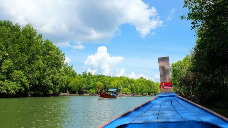 From Ko Lanta: Mangrove Eco-Excursion by Longtail Boat - FAQ