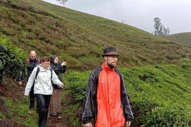 From Kochi:- 02 Days Munnar Hill Station & Nature Walk Tour - Value and Practical Tips