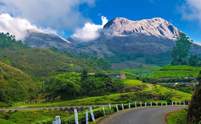 From Kochi:- 02 Days, Munnar Nature Beauty Hill Station Tour - Authenticity and Value