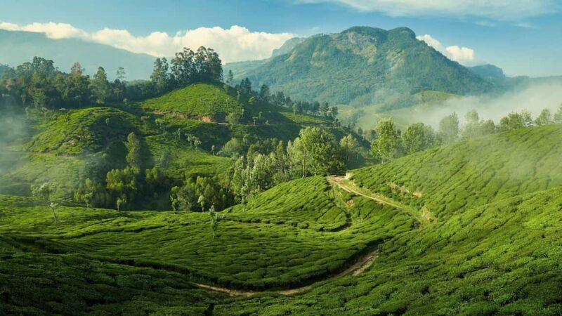 From Kochi:- 02 Days, Munnar Nature Beauty Hill Station Tour - Frequently Asked Questions