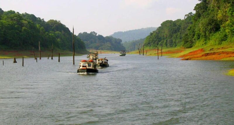 From Kochi:- 02 Days Periyar Wildlife Tour with Nature Walk - Key Points
