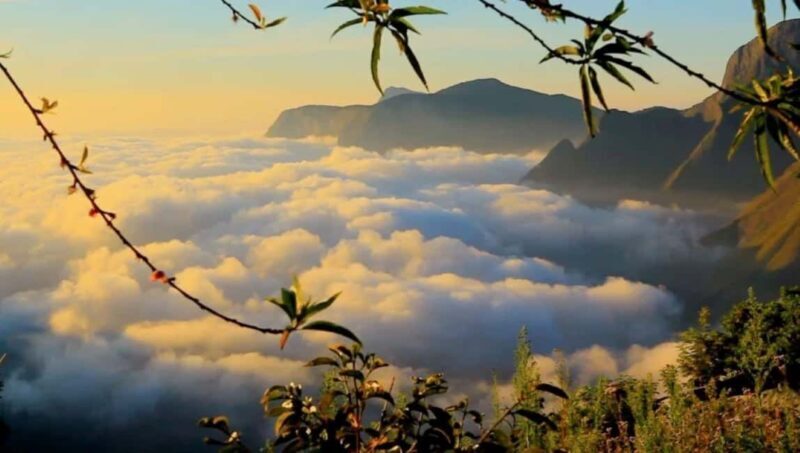 From Kochi:- 03 Days Munnar with Periyar Wildlife Tour - Key Points