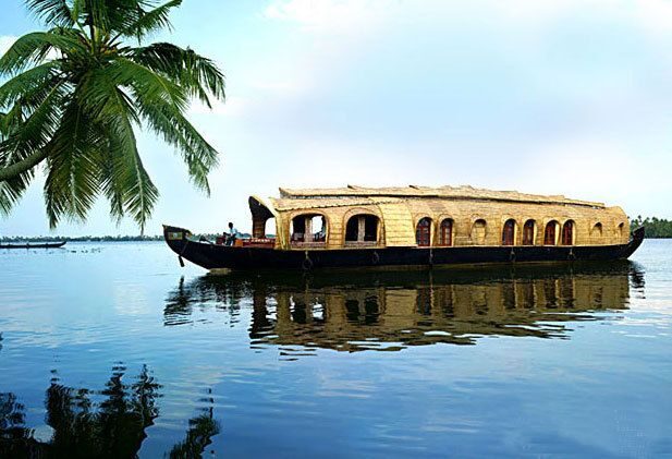 From Kochi: 2-Day 1-Night Alappuzha Private Houseboat Cruise - Who Is This Tour Perfect For?
