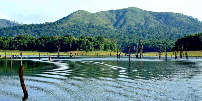 From Kochi: 3-Day Periyar Wildlife Sanctuary Tour - A Deep Dive into the Periyar Wildlife Sanctuary Tour