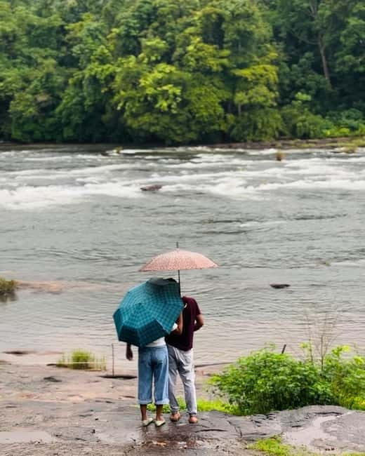 From Kochi: Athirappilly Waterfalls Day Trip with Transfers - Key Points