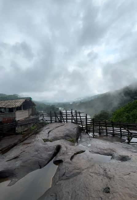 From Kochi: Athirappilly Waterfalls Day Trip with Transfers - Who Will Love This Tour?