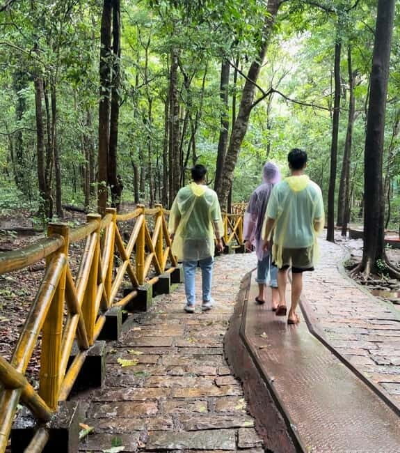 From Kochi: Athirappilly Waterfalls Day Trip with Transfers - FAQ