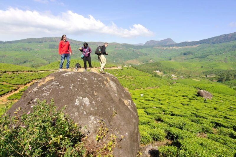 From Kochi: Munnar & Tea Museum Private Guided Tour - Exploring Munnar: A Private Guided Day Trip from Kochi