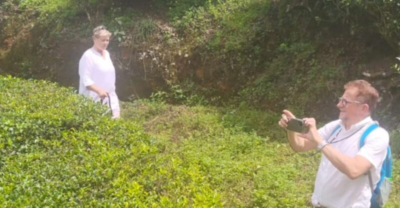 From Kochi: Munnar & Tea Museum Private Guided Tour - Key Points