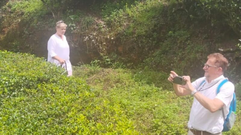 From Kochi: Munnar & Tea Museum Private Guided Tour - The Real Value of the Tour