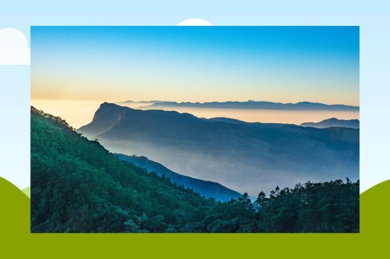 From Kochi: Munnar & Tea Museum Private Guided Tour - FAQ about the Kochi to Munnar Private Tour