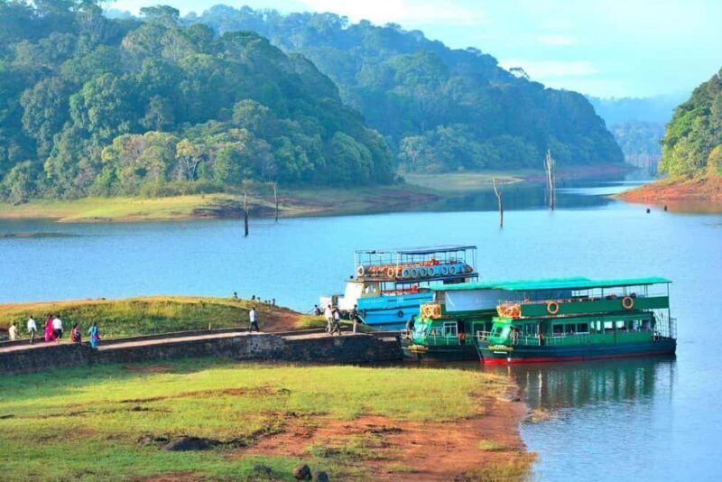 From Kochi:- Periyar Elephant Bath, Nature Walk Guided Tour - Who Should Consider This Tour?