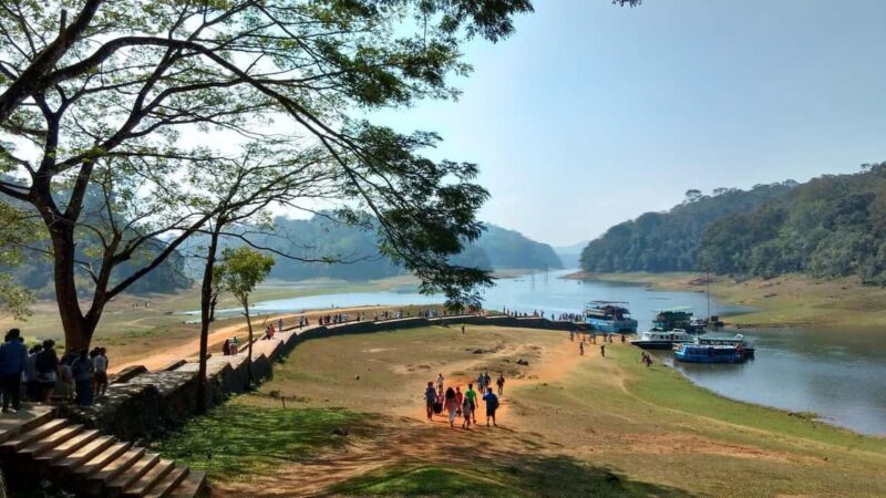 From Kochi:- Periyar Elephant Bath, Nature Walk Guided Tour - Final Thoughts