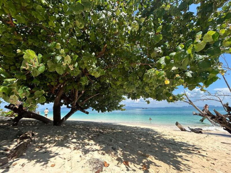From Koh Lanta: 4 Islands Adventure- Emerald Cave&Koh Kradan - FAQ