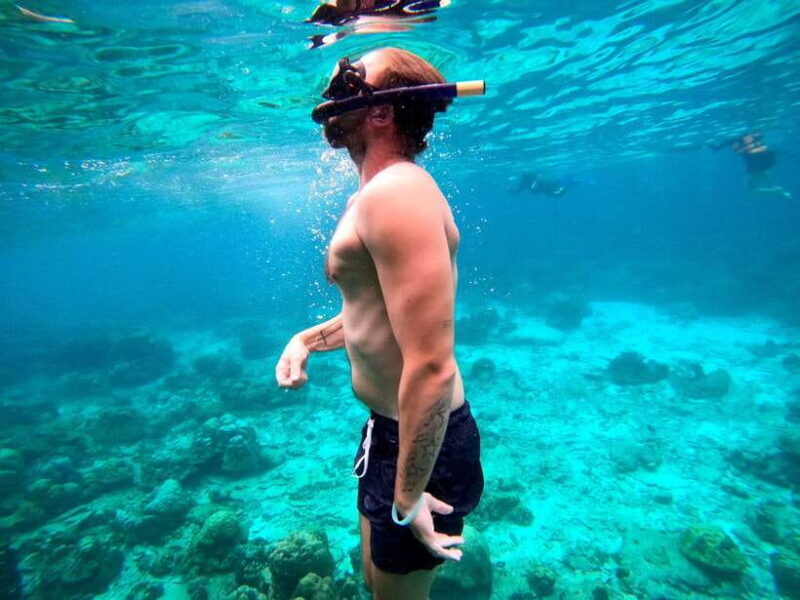 From Koh Lanta: Koh Haa & Koh Rok Snorkel Tour by Speedboat - Key Points