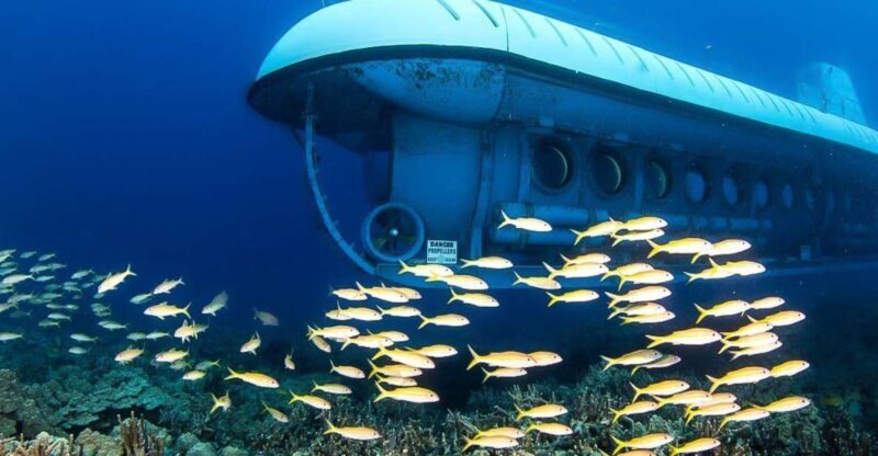 From Kona: Big Island Underwater Submarine Adventure - Key Points