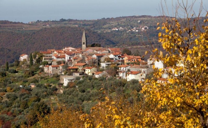 From Koper: Piran's Tastes and Tales - From Koper: Pirans Tastes and Tales — A Practical, Authentic Coastal Experience