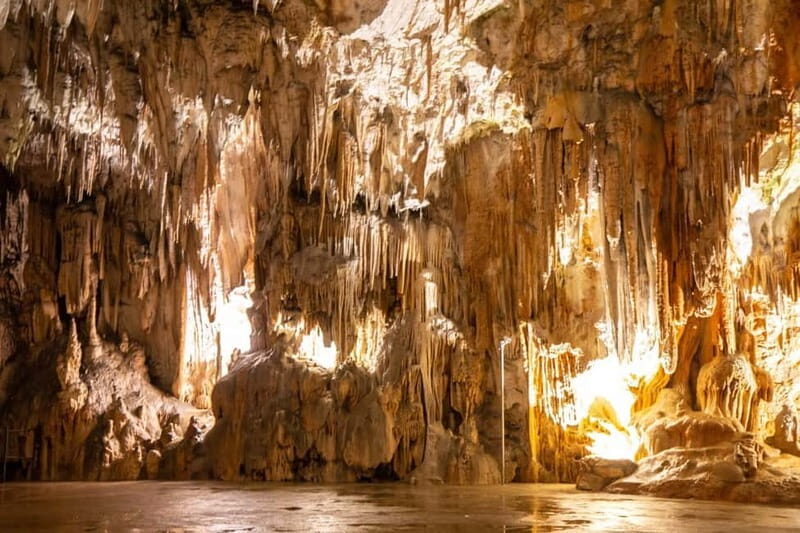 From Koper: Postojna Cave and Ljubljana Guided Tour - Who This Tour Is Perfect For