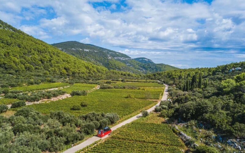 From Korcula Town: Local Wine & Sightseeing Half-Day Tour - Authentic Experiences and What Travelers Say