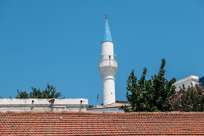 From Kos: Independent Day Trip to Bodrum - Who Should Consider This Tour?