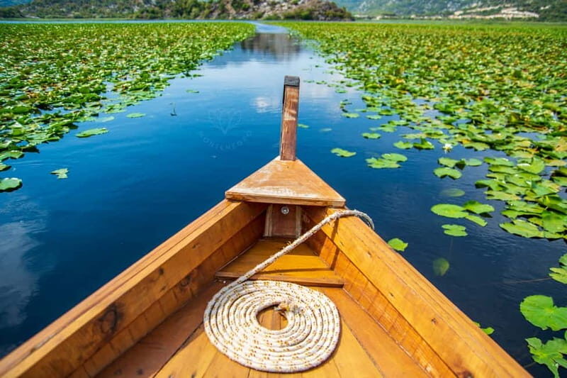 From Kotor, Budva, Tivat: Skadar Lake Boat Tour & Wine - Authenticity and Value