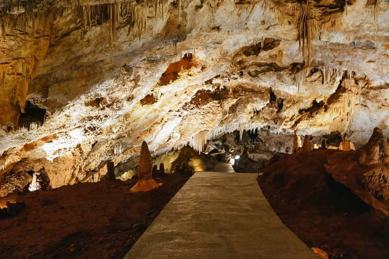 From Kotor:Private Excursion Wild Beauty of the Lipa Cave - An In-Depth Look at the Tour