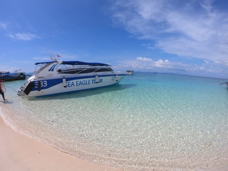 From Krabi: Phi Phi Islands Speedboat Day Tour - Key Points