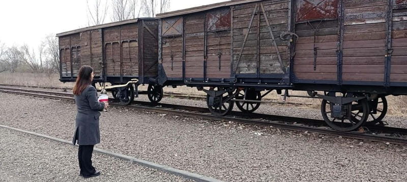 From Kracow: Auschwitz Complex Alternative Tour - Who Should Consider This Tour?