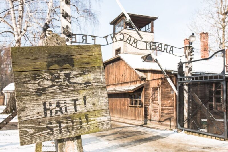 From Krakow: Auschwitz and Wieliczka Salt Mine Full-Day Trip - Descending into Wieliczka Salt Mine: Awe-Inspiring Underground Art
