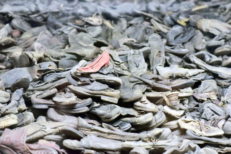 From Krakow: Auschwitz and Wieliczka Salt Mine Full-Day Trip - Logistics and Practicalities