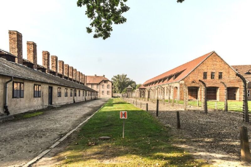 From Krakow: Auschwitz Birkenau and Salt Mine Guided Tour - Key Points