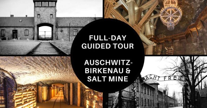 From Krakow: Auschwitz Birkenau and Salt Mine Guided Tour - A Deep Dive into the Tour Experience