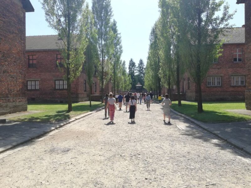 From Krakow: Auschwitz-Birkenau and Self-Guided Day Tour - An Honest Look at the Auschwitz-Birkenau Self-Guided Tour from Krakow