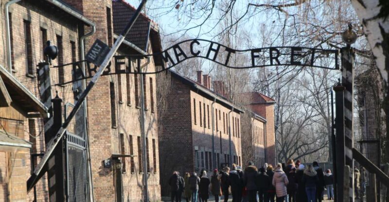 From Krakow: Auschwitz-Birkenau and Self-Guided Day Tour - What to Expect at Each Stage of the Tour