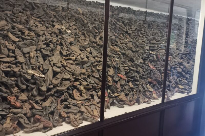 From Krakow: Auschwitz-Birkenau Camp Complex Guided Day Trip - From Krakow: Auschwitz-Birkenau Camp Complex Guided Day Trip — A Respectful Journey into History