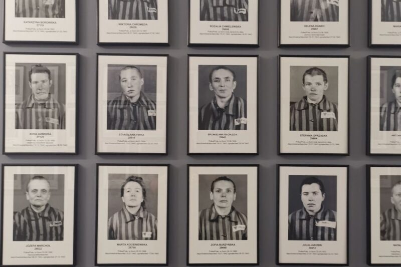 From Krakow: Auschwitz-Birkenau Camp Complex Guided Day Trip - Who Will Love This Experience?